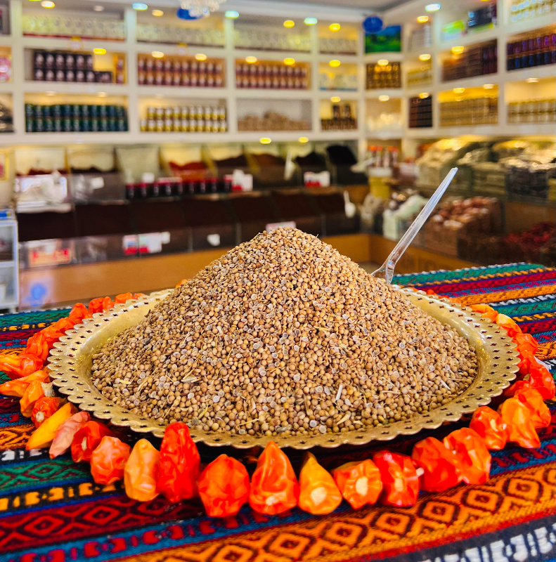 TANE KİŞNİŞ